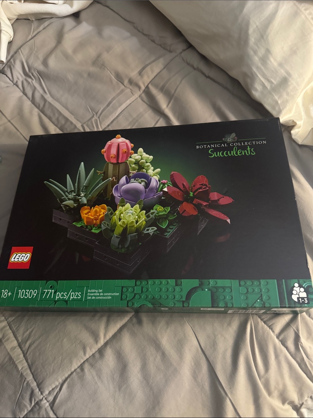 LEGO Botanical Collection Succulents - Black Display Box with Colorful Plants